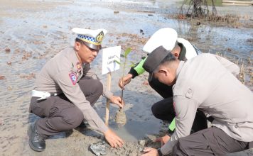 Polres Lingga Tanam Mangrove di Pantai Pasir Kuning dalam Rangka Hari Bhayangkara ke-78