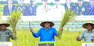 Panen Raya Padi di Desa Laksamana, Bupati Alfedri Serahkan 16 Unit Mesin Pompa Air dan 1 Cultivator