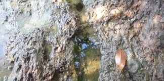 Sejarah dan Keajaiban Pulau Mamut di Lingga Kepulauan Riau