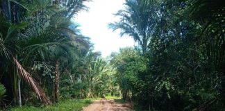 Proyek Jalan Desa Keton Jadi Sorotan Masyarakat