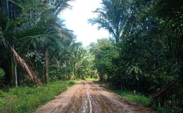 Proyek Jalan Desa Keton Jadi Sorotan Masyarakat