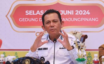 Alasan Gubernur Ansar Ahmad Agar Short Term Visa Diterapkan di Kepri