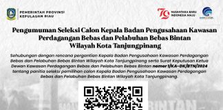Seleksi Calon Kepala KPBPB Bintan Wilayah Tanjungpinang Dibuka, Pendaftaran Hingga 15 Juli 2024