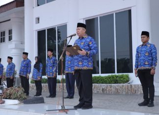 Plh Sekretaris Daerah Pimpin Upacara Hari Kesadaran Nasional