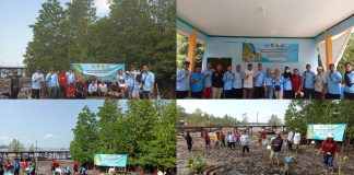 Peringati Hari Mangrove Sedunia, DPC HNSI Lingga Tanam Mangrove di Desa Kelumu