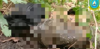 Warga Desa Bayat Anambas Ditemukan Meninggal Dunia Setelah Hilang 7 Hari