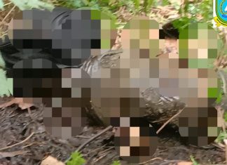 Warga Desa Bayat Anambas Ditemukan Meninggal Dunia Setelah Hilang 7 Hari