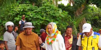 Cen Sui Lan Paparkan Pola Khusus Untuk Mempercepat Pembangunan Natuna