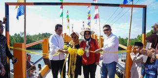 Gubernur Ansar Resmikan Jembatan Penghubung Subang Mas – Air Raja Kota Batam