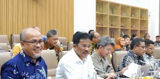 Komisi VI DPR RI Sahkan Pagu Anggaran 2025, BP Batam Fokus Kembangkan Kawasan Investasi Baru