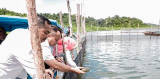Bupati Lingga Muhammad Nizar Serahkan Bantuan Kepada 5 Kelompok Budidaya Ikan dan Rumput Laut