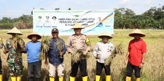 Wujudkan Desa Ketahanan Pangan, Kapolres Lingga Panen Padi di Desa Lanjut