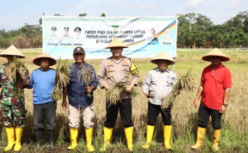 Wujudkan Desa Ketahanan Pangan, Kapolres Lingga Panen Padi di Desa Lanjut