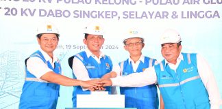 Gubernur Ansar Resmikan Pengoperasian Tower Crossing di Kawasan Pesisir Batam, Bintan dan Lingga