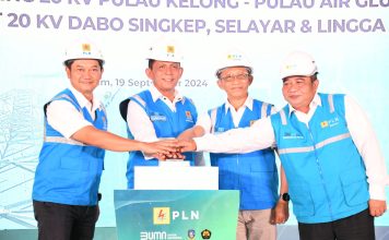 Gubernur Ansar Resmikan Pengoperasian Tower Crossing di Kawasan Pesisir Batam, Bintan dan Lingga
