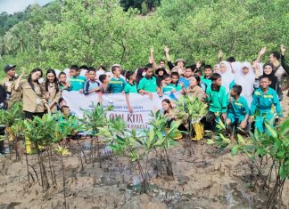 KOMPAK dan LKKPN Pekanbaru Berkolaborasi dalam Rehabilitasi Mangrove di Anambas