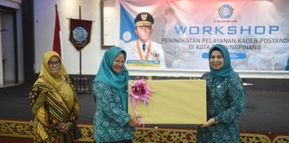 Ketua TP-PKK Kepri Hadiri Workshop Peningkatan Pelayanan Kader Posyandu di Tanjungpinang dan Bintan