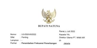 Usulan Bupati Natuna Wan Siswandi Menambah Jadwal Penerbangan Rute Natuna Batam Terwujud, Nam Air Terbang 3 Kali Seminggu