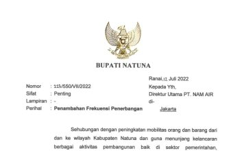 Usulan Bupati Natuna Wan Siswandi Menambah Jadwal Penerbangan Rute Natuna Batam Terwujud, Nam Air Terbang 3 Kali Seminggu