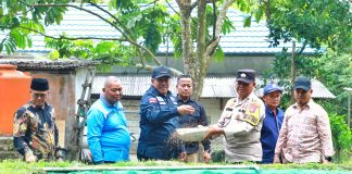 Bupati Siak Alfedri Menghadiri Panen Perdana Budidaya Ikan Lele di Kecamatan Dayun