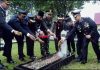 Kodim 0303 Bengkalis Laksanakan Ziarah Nasional, Bupati Bengkalis Ikut Tabur Bunga di Makam Pahlawan