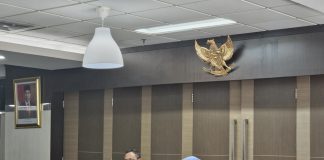 Pemko Payakumbuh Gelar Audiensi Strategis dengan Kemenkes RI