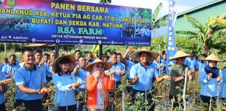 Panen Bersama di Lanud RSA Farm, Sinergi TNI AU dan Pemkab Natuna Sukseskan Ketahanan Pangan