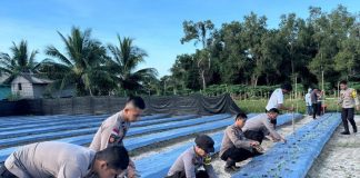 Dukung Program Ketahanan Pangan Nasional, Polres Natuna Bantu Petani Tanam Bibit Cabai