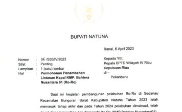 Berkat Usulan Wan Siswandi, KMP Bahtera Nusantara 01 Akhirnya Akan Bersandar di Sedanau