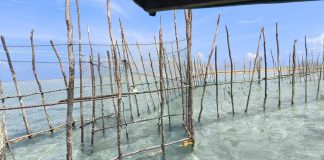 Memasuki Musim Utara, Nelayan Pesisir Natuna Mulai Pasang Kelong