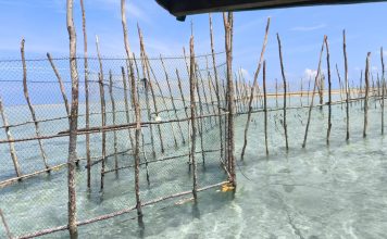 Memasuki Musim Utara, Nelayan Pesisir Natuna Mulai Pasang Kelong