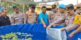Dukung Program Astacita Presiden Dan Wakil Presiden, Polres Simalungun Tabur 7500 Bibit Ikan Bioflok