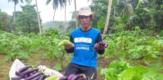 Medco E&P dan Petani Anambas : Membangun Ketahanan Pangan Lokal di Tengah Tantangan