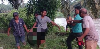 Sesosok Mayat Pensiunan BUMN Ditemukan di Perkebunan Sawit, Kapolsek Tanah Jawa : Kasus Ditutup, Penemuan Mayat Non – Pidana