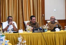 Penyelesaian Ruas Jalan, Penataan Plaza Penyambut, dan Balai Adat Jadi Prioritas Penataan Pulau Penyengat