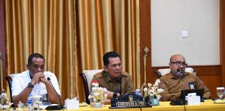 Penyelesaian Ruas Jalan, Penataan Plaza Penyambut, dan Balai Adat Jadi Prioritas Penataan Pulau Penyengat