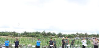 Laiskar Jaya Apresiasi Inovasi Polres Siak Dalam Mendukung Ketahanan Pangan