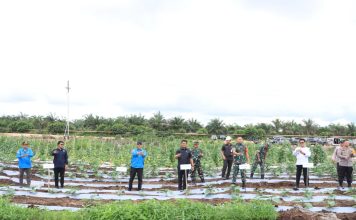 Laiskar Jaya Apresiasi Inovasi Polres Siak Dalam Mendukung Ketahanan Pangan