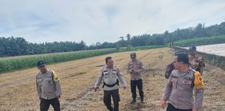 Dukung Program Ketahanan Pangan Melalui Optimalisasi Lahan Pertanian, Polsek Tanah Jawa Laksanakan Cek Kesiapan Lahan