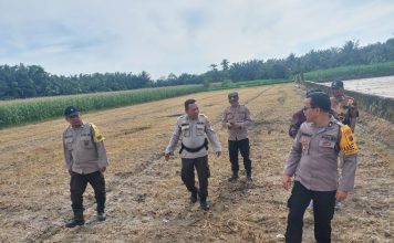 Dukung Program Ketahanan Pangan Melalui Optimalisasi Lahan Pertanian, Polsek Tanah Jawa Laksanakan Cek Kesiapan Lahan