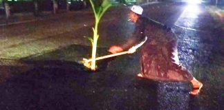 Kecewa Dengan Kinerja Pemerintah, Anggota Satgasus BAI Aceh Timur Bersama Warga Tanam Pohon Pisang Di Jalan Medan – Banda Aceh