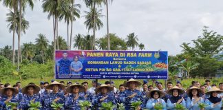 Lanud Raden Sadjad Natuna Panen Sawi Pakcoy dan Terong Ungu, Dukung Program Presiden