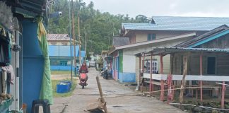 DPUPR Anambas Usulkan Alternatif Sementara Berbahan Kayu untuk Jalan Rusak di Desa Nyamuk