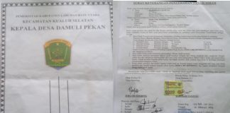 Surat Tanah Hibah Dibantah, Diduga Oknum Di Pemdes Damuli Pekan Terlibat Pemalsuan Dokumen Surat Tanah