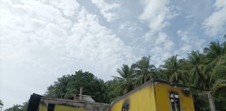 Korsleting Kipas Angin Diduga Jadi Penyebab Kebakaran Rumah Aswandi di Desa Nyamuk