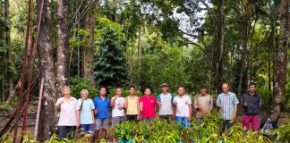 Pemkab Lingga Salurkan 600 Bibit Durian Musang King untuk Warga Desa Kelumu