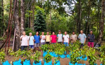 Pemkab Lingga Salurkan 600 Bibit Durian Musang King untuk Warga Desa Kelumu