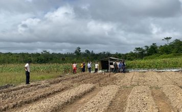 Dukung Ketahanan Pangan Nasional, Polres Natuna Tanam Jagung di Lahan Kosong