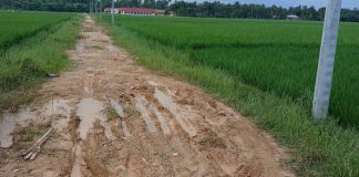 Info Pak Bupati, Jalan Bak Kubangan Kerbau menuju SMKN-1 Nurussalam