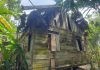 Parah!, 10 Tahun Rumah Gubuk Reot Ditempati Supiana Ali, Pemkab Aceh Timur Hanya Bisa Tutup Mata Atas Kemiskinan Warganya